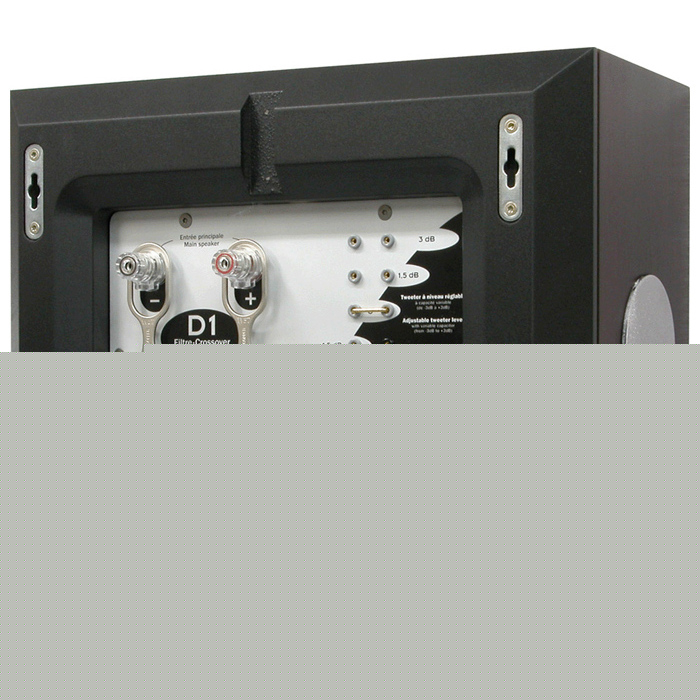 BC Acoustique d1 
